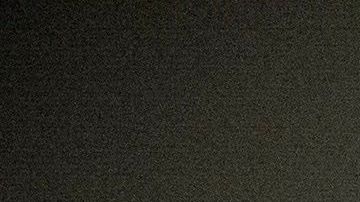 Biden solo ha adelantado que su compañera de fórmula será una mujer.