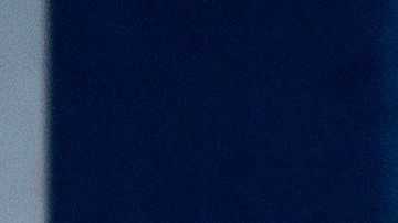 El presidente Trump ha difundido muchas veces teorías de la conspiración.