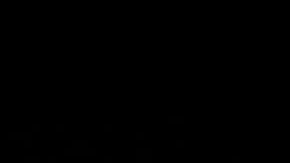 Cientos participan en la "Marcha por la Muerte" de 175,000 personas, en NY.