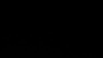 Cientos participan en la "Marcha por la Muerte" de 175,000 personas, en NY.