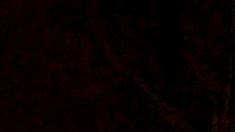 La imagen es tomada por muchos como una señal de esperanza.