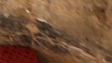 La pequeña mueve las manos en señal de que se encuentra con vida.