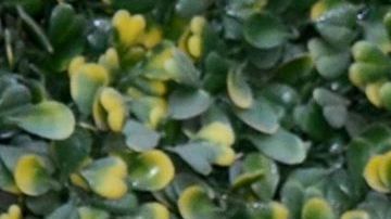 Fernanda Castillo y Erik Hayser.