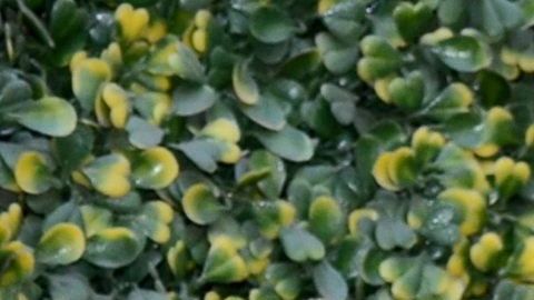 Fernanda Castillo y Erik Hayser.