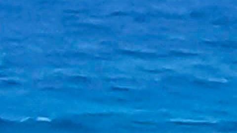 La embarcación en la que viajaban se quedó sin combustible y fueron arrastrados por la corriente.