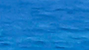 La embarcación en la que viajaban se quedó sin combustible y fueron arrastrados por la corriente.