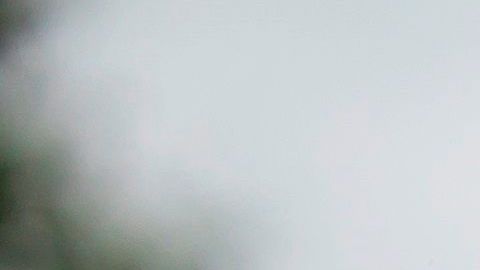 Los demócratas quieren enviar $25,000 millones para el correo postal, pero la ley no tiene futuro en el Senado.