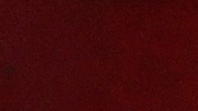 Ter Stegen fue intervenido de manera exitosa.