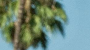 Carlos Martínez había estado protegido con DACA, pero perdió ese beneficio.