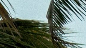 Las playas fueron cerradas en el sur de Florida.