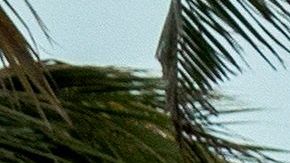 Las playas fueron cerradas en el sur de Florida.