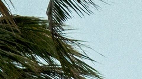 Las playas fueron cerradas en el sur de Florida.