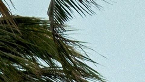 Las playas fueron cerradas en el sur de Florida.