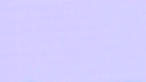 Adamari López junto a su gran amigo el Chef James.