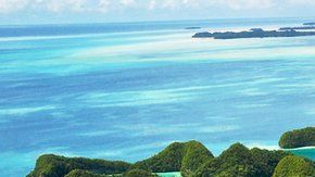 97539495_gettyimages-185178824