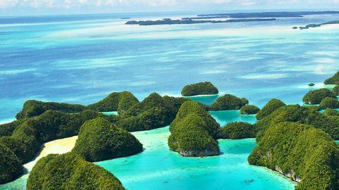 97539495_gettyimages-185178824