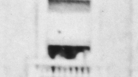 Portuguese dictator Antonio De Oliveira Salazar (1889 - 1970) reviews troops about to embark for the African colonies of the Portuguese Republic, circa 1950. (Photo by Evans/Three Lions/Hulton Archive/Getty Images)