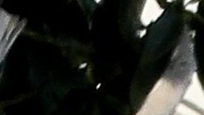 Kendall Jenner and Devin Booker