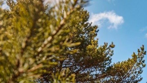 Ford Bronco 2021 de dos puertas. / Foto: Cortesía Ford.