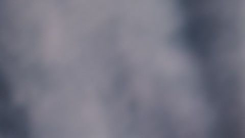 Foto: Katinkavom Wolfenmond/Pixabay. Los mininos suelen dormir en lugares extraños.