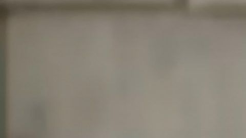 MILWAUKEE, WI - AUGUST 18: In this screenshot from the DNCC’s livestream of the 2020 Democratic National Convention, Former U.S. Ambassador to Japan and daughter of President John F. Kennedy Caroline Kennedy and son Jack Schlossberg, grandson of President John F. Kennedy speak during the virtual convention on August 18, 2020.  The convention, which was once expected to draw 50,000 people to Milwaukee, Wisconsin, is now taking place virtually due to the coronavirus pandemic.  (Photo by DNCC via Getty Images)  (Photo by Handout/DNCC via Getty Images)