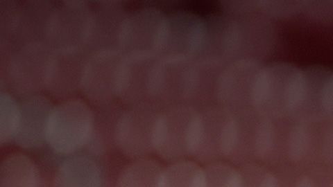 Chivas fondo de la tabla