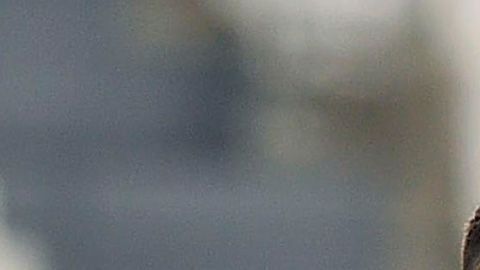 Cristiano Ronaldo Lyon