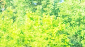 David-Delmar-Sentíes