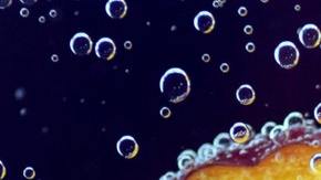 Comer más de tres granos de chabacano pequeño crudos o menos de la mitad de un grano grande, puede exceder los niveles seguros.