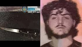 Dzenan Camovic y el arma que usó