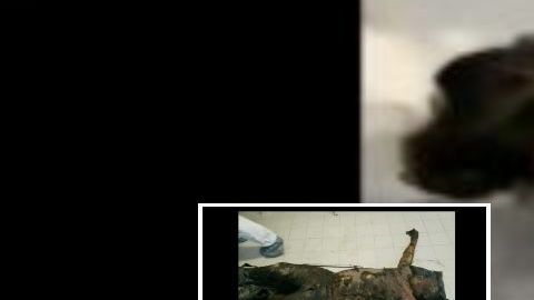 Encuentran cuerpos calcinados de mujer y hombre en San Luis Potosí