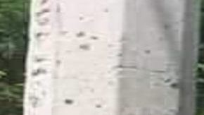 FOTOS: Exhiben en redes a sicario del Cártel del Noreste abatido por soldados mexicanos