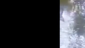 FOTOS: Sicarios del Cártel del Golfo atacan a policías, les responden y abaten a uno de los matones