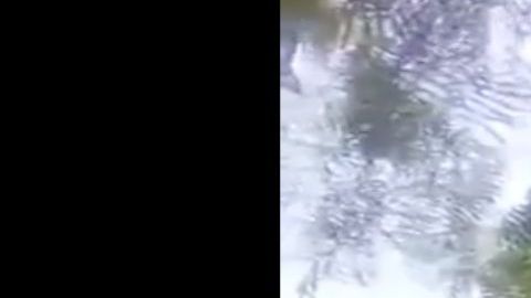 FOTOS: Sicarios del Cártel del Golfo atacan a policías, les responden y abaten a uno de los matones