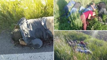 FOTOS: Sicarios matan a 7 y tiran los cuerpos cerca de una carretera