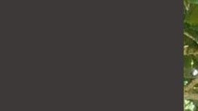 FOTOS: Sicarios secuestran a jovencita de 17 años ; aparece muerta e irreconocible