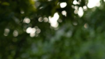 Gabriela-Santoferraro