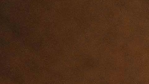 Tipo de cambio dólar peso México coronavirus COVID-19