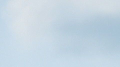 Un vehículo anfibio de los Marines como los mostrados sufrió el accidente.