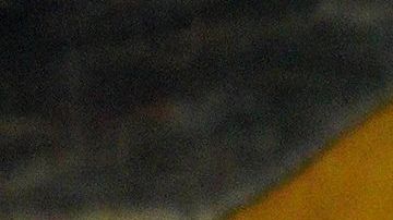 Angela Aguilar, Leonardo Aguilar, Pepe Aguilar y Antonio Aguilar Jr.