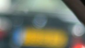 Una mascota jamás debe asomarse por las ventanillas durante un viaje en auto, hacerlo pondría en riesgo su vida.