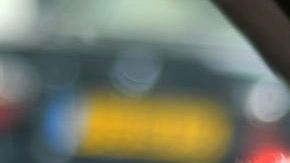 Una mascota jamás debe asomarse por las ventanillas durante un viaje en auto, hacerlo pondría en riesgo su vida.