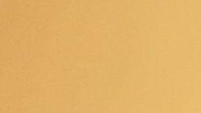 Migbelis Castellanos