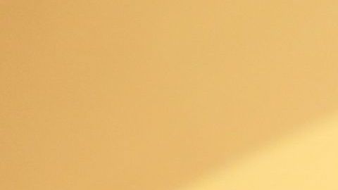 Migbelis Castellanos