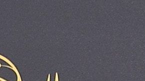 Ana Patricia Candiani