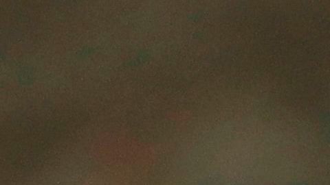 IRS cheque ayuda económica coronavirus COVID-19 dinero errores