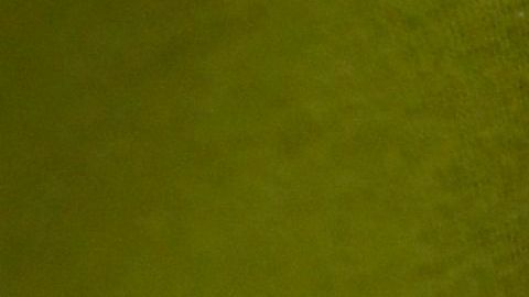 El segundo paquete estímulo buscaría ayudar a quienes no tienen trabajo