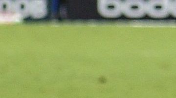 El joven juega en el Cruzeiro desde los 13 años.