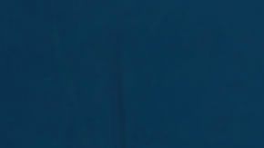 Maria Sharapova en su último torneo como profesional.