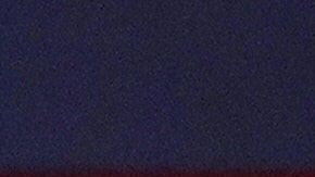 Joe Biden en un foro de Univision y CNN.